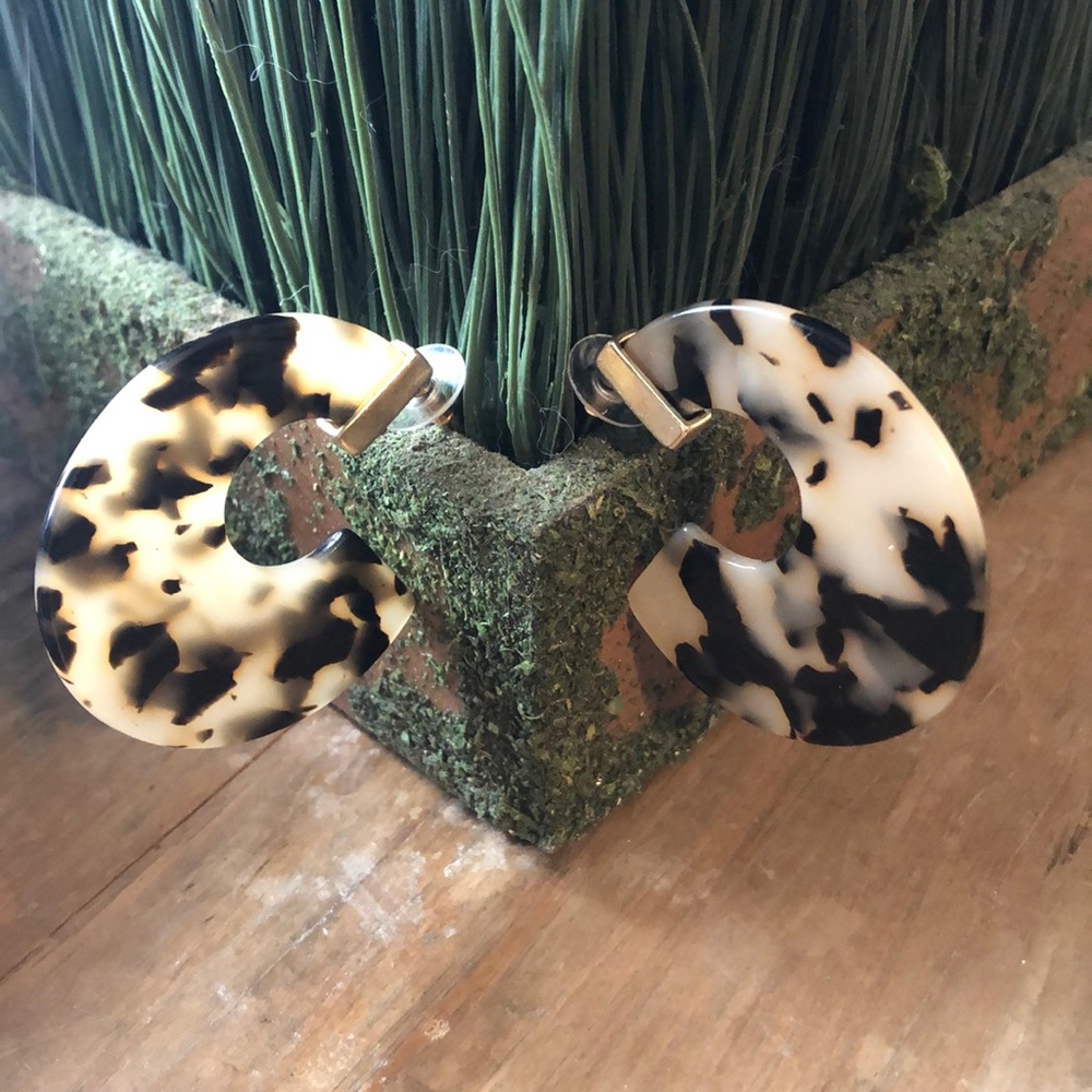 Tortoise Hoops